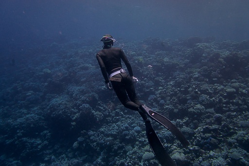 Try Freediving